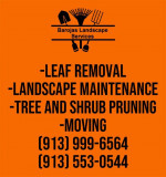 yard cleaning.; leaf removal (Overland park, ks)