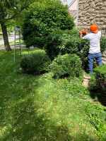 yard cleaning.; leaf removal (Overland park, ks)