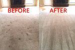 $79 3/Rooms Carpet Cleaning Deal | Same Day Carpet Cleaner