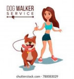 All you need cleaning services