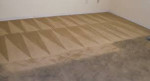 STEAM CARPET CLEANING / UPHOLSTERY