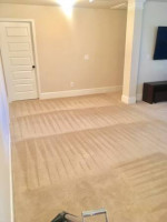 FLAT RATE CARPET CLEANING