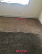 FLAT RATE CARPET CLEANING