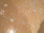 @@@@@POLISH CLEANING LADY -MY EXPERIENCE , YOUR CLEAN HOUSE@@@@@@