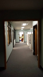 House and business cleaning