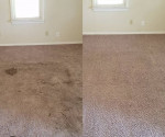 🟡🟡CARPET CLEANING-TRUCK MOUNT-PROFESSIONAL-4 ROOMS Fast Dry 99🟡🟡