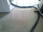 Carpet, Upholstery Cleaning, Carpet Repairs-3 rooms & hallway $99!!