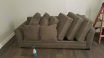 "SHEPARD CARPET CLEANING" YOUR SATISFACTION IS OUR NEXT REFERRAL