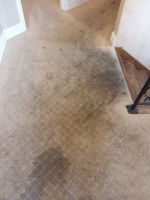 "SHEPARD CARPET CLEANING" YOUR SATISFACTION IS OUR NEXT REFERRAL