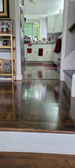 house cleaning services