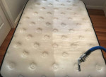 CARPET CLEANING, SANITIZING (941)822 3896