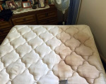 CARPET CLEANING, SANITIZING (941)822 3896