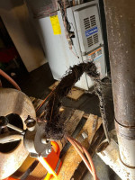 Plumbing & Drain Cleaning - Good Pricing