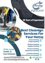 “ANI” Cleaning Professional LLC (Indianapolis, Carmel, Westfield, more