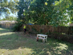 Lawn Care And Flower Bed Cleaning
