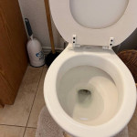 " Carolina´s” Cleaning Services LLC  (Forth Collins, Evans, more)