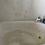 " Carolina´s” Cleaning Services LLC  (Forth Collins, Evans, more)