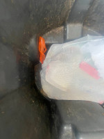 Wash and pressure cleaning your garbage can