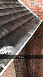 🍃 GUTTER CLEANING, WINDOW CLEANING, 🏠 PRESSURE CLEANING - 651-560-8847