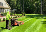 Lawn Mowing - Leaf Cleaning (free estimate) Call Now !