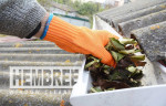 ⭐️🪟 WINDOW CLEANING, PRESSURE WASHING & GUTTER CLEANING SERVICES🪟⭐