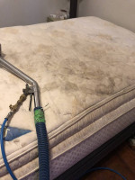 Carpet Cleaning, Tile and Grout cleaning, Sofas too