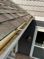 Comprehensive Gutters service. PRO GUTTER CARE -  Cleaning, Installation, Downsp