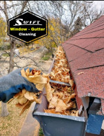 Gutter & Window Cleaning starting at $99 π 720.501.0253π