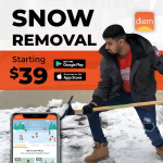 🏠$49 Snow Mowing Home Cleaning Handyman Junk Removal Moving Painting