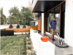 WINDOW CLEANING & PRESSURE WASHING (DeKalb County)