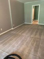 🧼 ALPHA A1 STEAM CARPET CLEANING LLC 🧽 PROFESSIONAL ELITE SERVICE 🧼