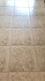 Professional Floor Cleaning