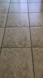 Professional Floor Cleaning