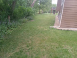 Better Cleaning - house cleaning, yard work, & junk removal
