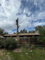 Tree Removal, Stump Grinding, Gutter Cleaning