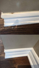 Commercial Cleaning Office cleaning House cleaning After party Cleanin