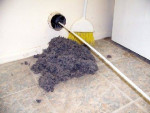 ✅$99.90 Air Duct & Dryer Vent Cleaning Package,$39.99 Carpet Cleaning
