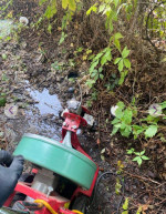 55$ drain cleaning