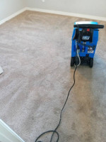 Professional carpet cleaning $30 a room