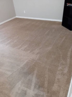 Professional carpet cleaning $30 a room