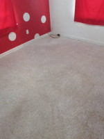 Professional carpet cleaning $30 a room