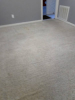 Professional carpet cleaning $30 a room