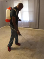 Professional carpet cleaning $30 a room