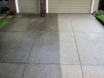 Fence/House cleaning services/Pressure washing 💧