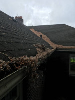 UNCLE SQUEEGEES GUTTER CLEANING | Cleaning, De-Clogging, Repair, Downs