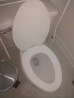 move out / in cleaning, junk removal ,(Quality, Reliable Service)