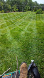 Get your new lawn maintenance, spring cleaning crew