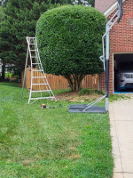 Get your new lawn maintenance, spring cleaning crew