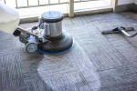 Deep Scrub Carpet Cleaning Special