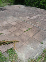 PRESSURE WASHING & WINDOW CLEANING